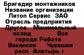 Бригадир монтажников › Название организации ­ Литоп-Сервис, ЗАО › Отрасль предприятия ­ Другое › Минимальный оклад ­ 23 000 - Все города Работа » Вакансии   . Чувашия респ.,Алатырь г.